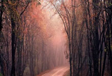 开云体育-西悉尼流浪者迎战卡尔蒂斯，防守反击或成致胜关键