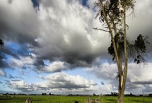 开云体育-西悉尼流浪者迎战卡尔蒂斯，防守反击或成致胜关键