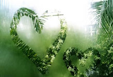 开云体育在线-惊险一战，球队险胜晋级下一轮