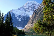 开云体育APP下载-心魔之巅：当冠军的盔甲裂开时，他们如何从自我怀疑中重生？