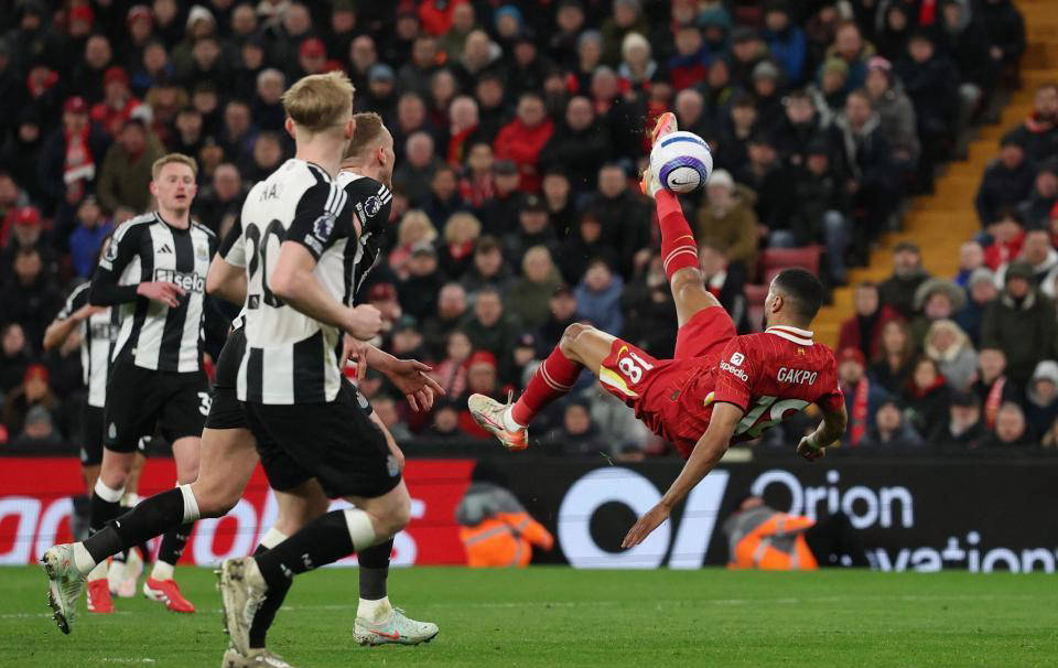 利物浦备战诺维奇,在球场全力以赴 利物浦备战诺维奇,在球场全力以赴