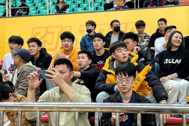 类人猿队全员出色发挥，主场取胜