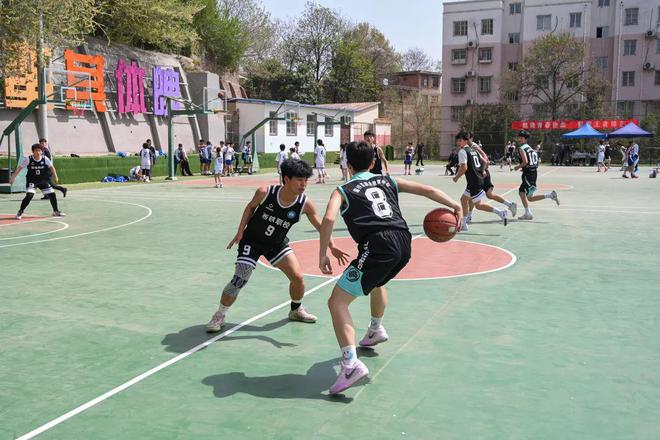 篮球联赛最新一轮的比赛精彩回顾