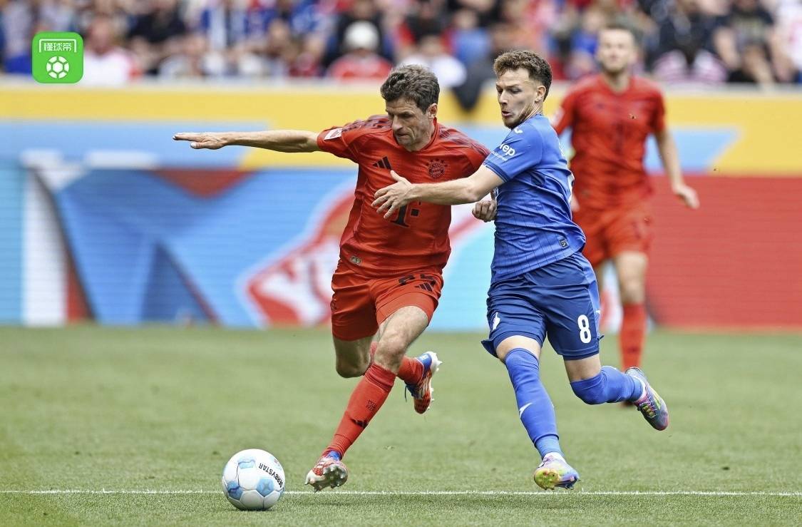 开云体育-霍芬海姆队在近期交战中取得两连胜，状态回勇的简单介绍