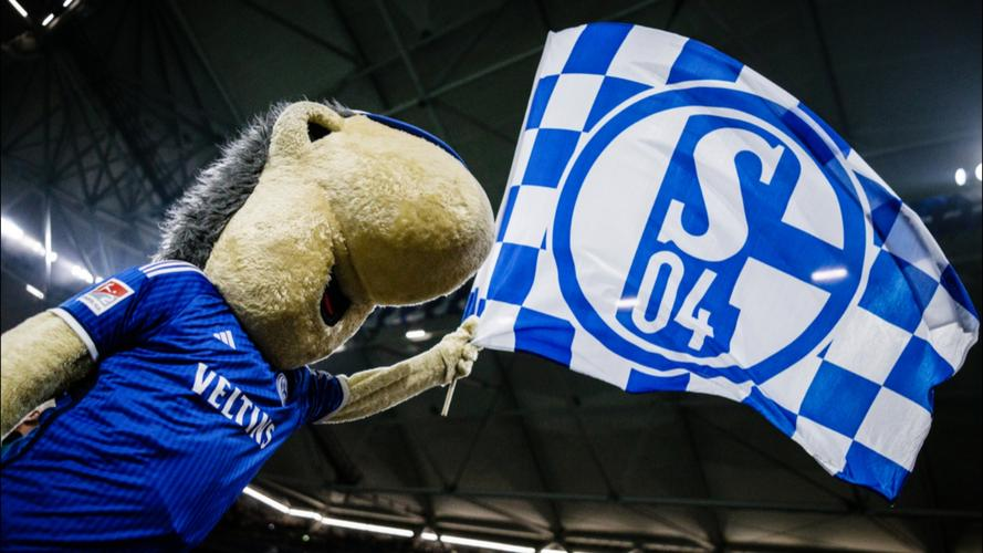 沙尔克遭遇惨败,积分榜下滑! 沙尔克遭遇惨败,积分榜下滑!