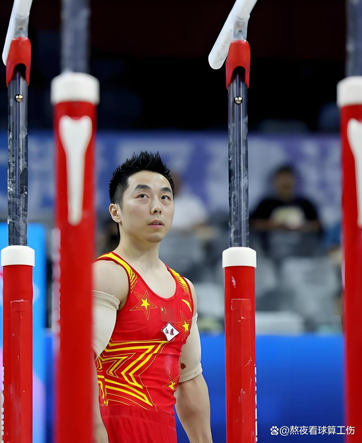 关于体操新星表现抢眼，金牌不负众望入手的信息