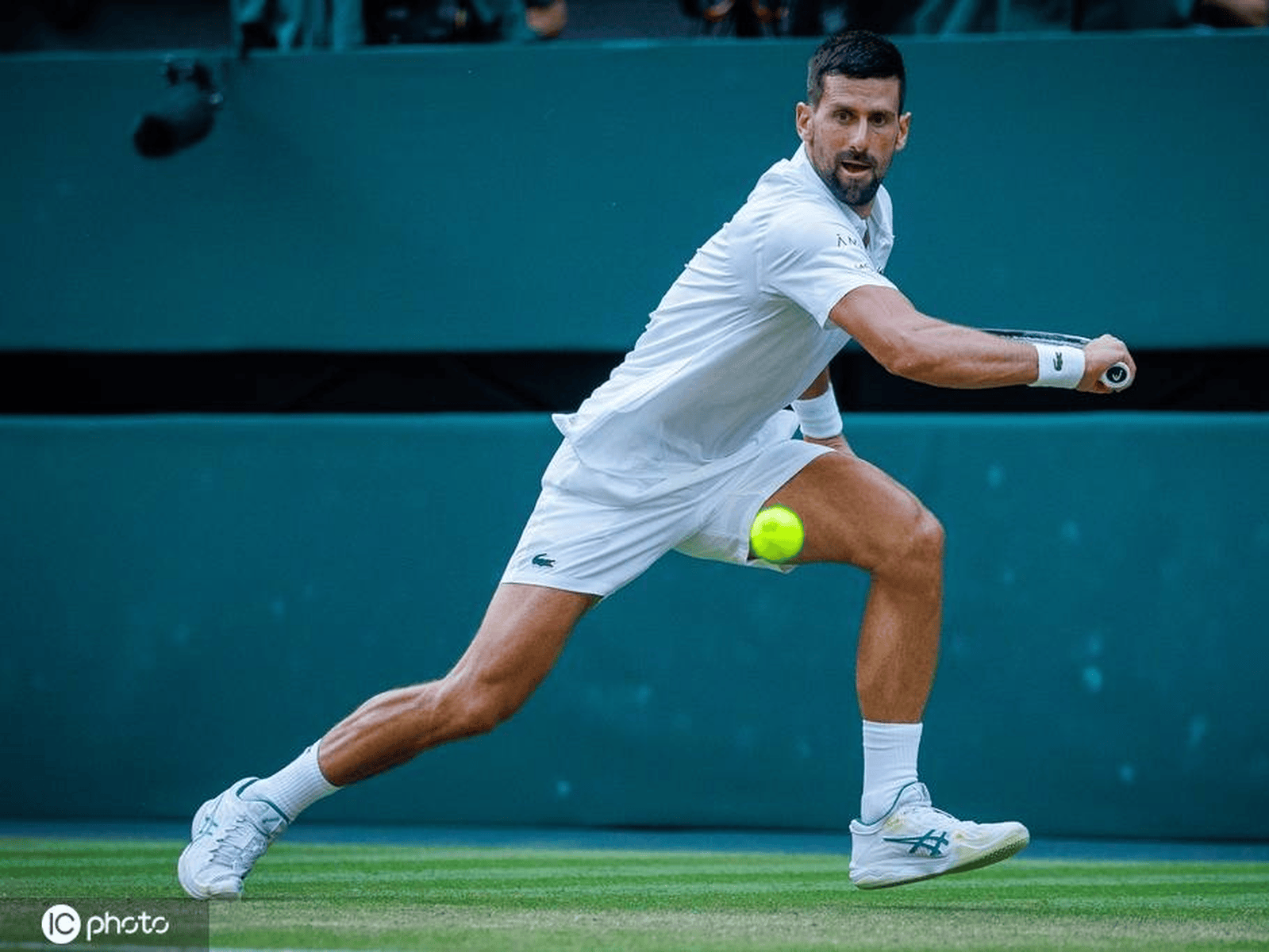 美网险胜澳网，德约科维奇点燃赛场