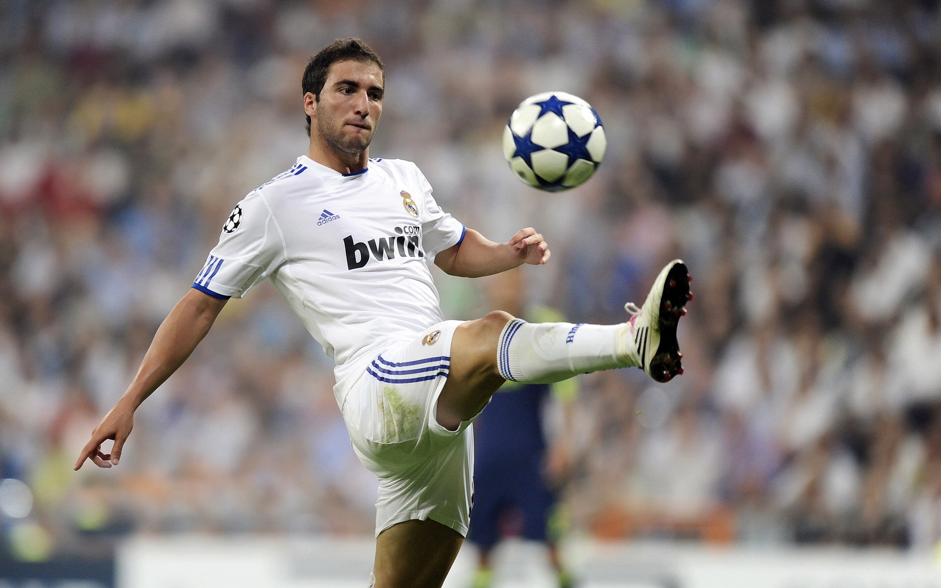 开云体育app-赛道之外，当勒沃库森的精密足球力克牙买加速度传说